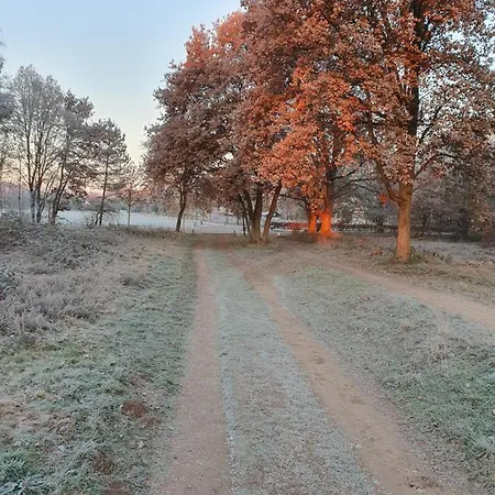 Speulderveld Bed & Breakfast