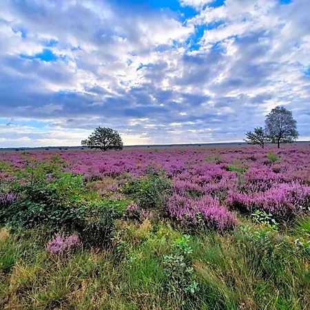 Bed & Breakfast Speulderveld