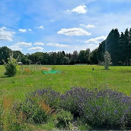 Bed & Breakfast Speulderveld 3*