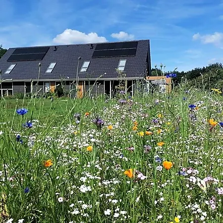 Speulderveld Bed & Breakfast