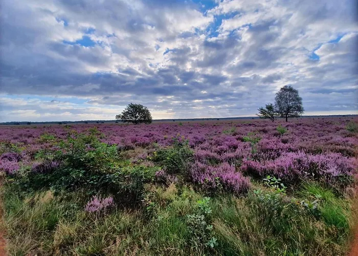 Speulderveld Bed & Breakfast 3*