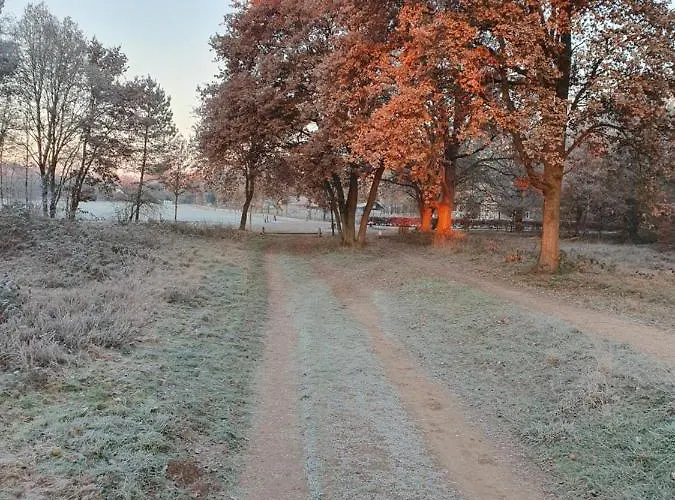 Speulderveld Bed & Breakfast