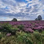 Speulderveld Bed & Breakfast 3*