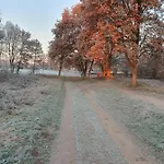 Speulderveld Bed & Breakfast