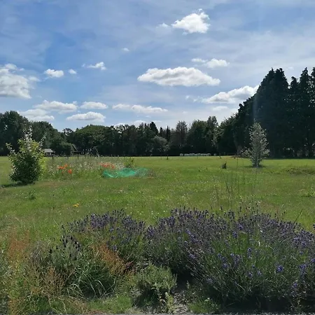 Speulderveld 埃尔默洛