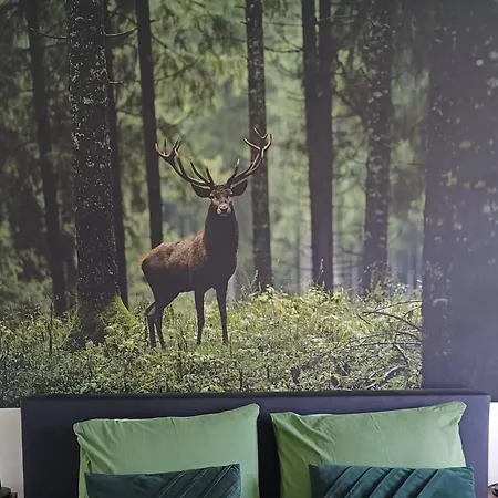 Alojamento de Acomodação e Pequeno-almoço Speulderveld 3*